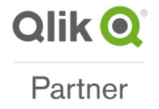 Qlik partner